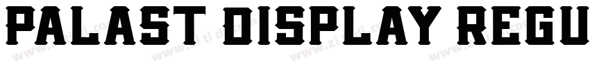 Palast Display Regul字体转换